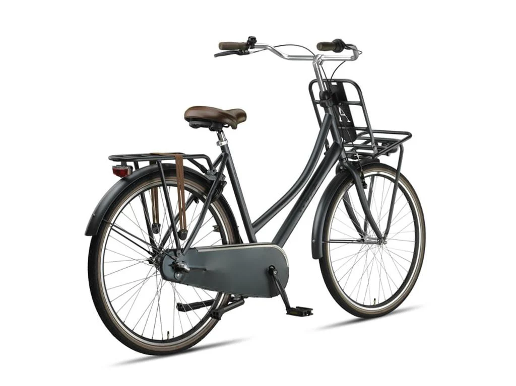 Altec Dutch Transportfiets Dolphin Grijs - Image 3