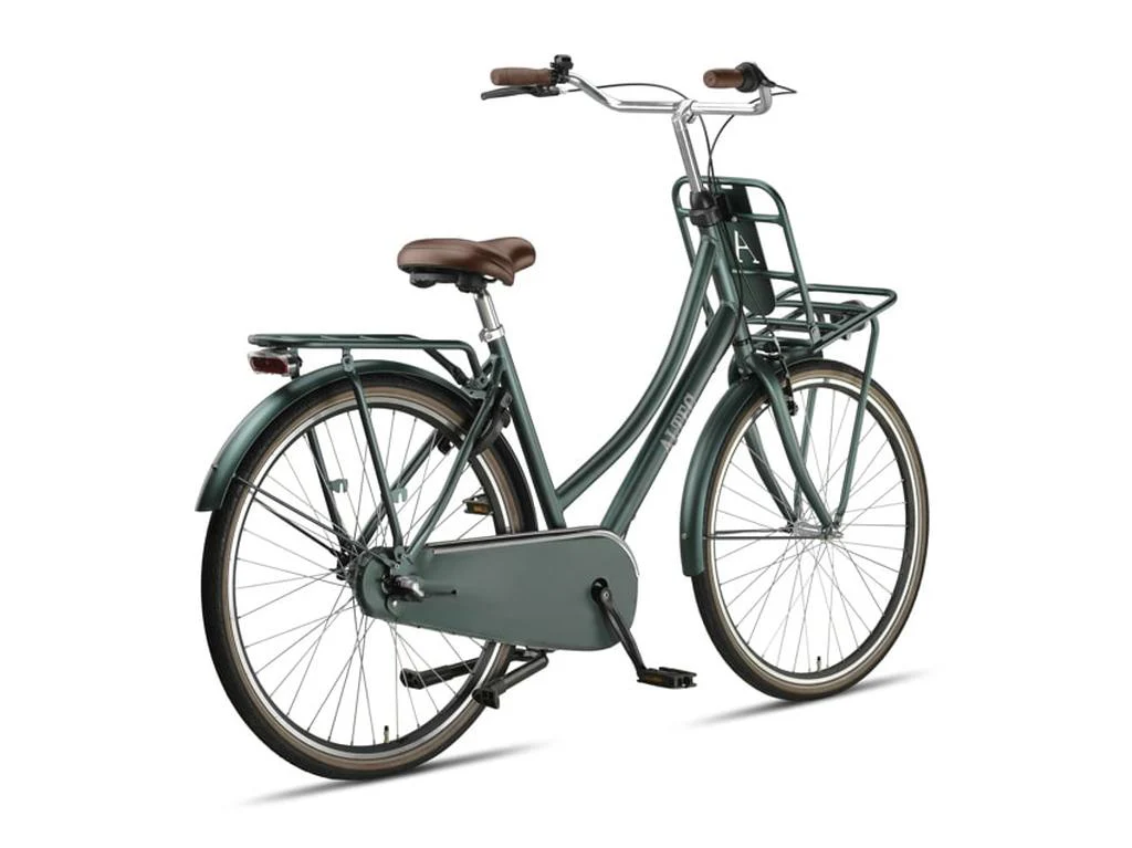 Altec Vintage Transportfiets Groen Metalic - Image 3