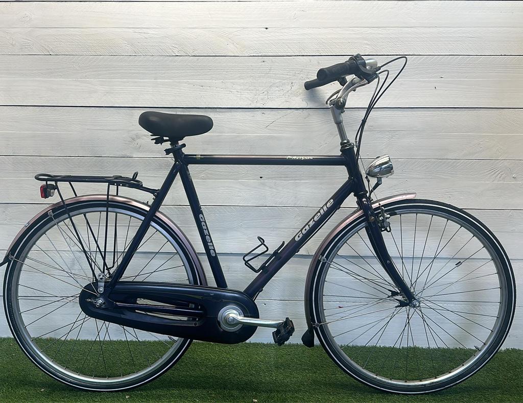 Gazelle Avignon