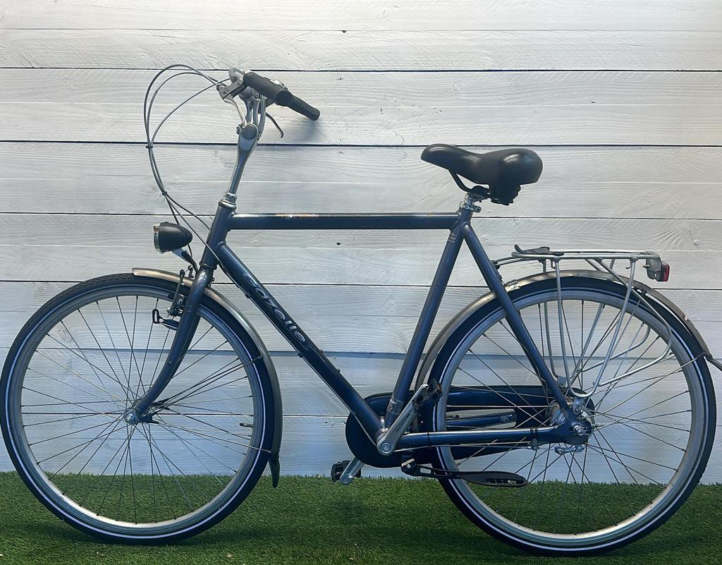 Gazelle Orange - Image 2