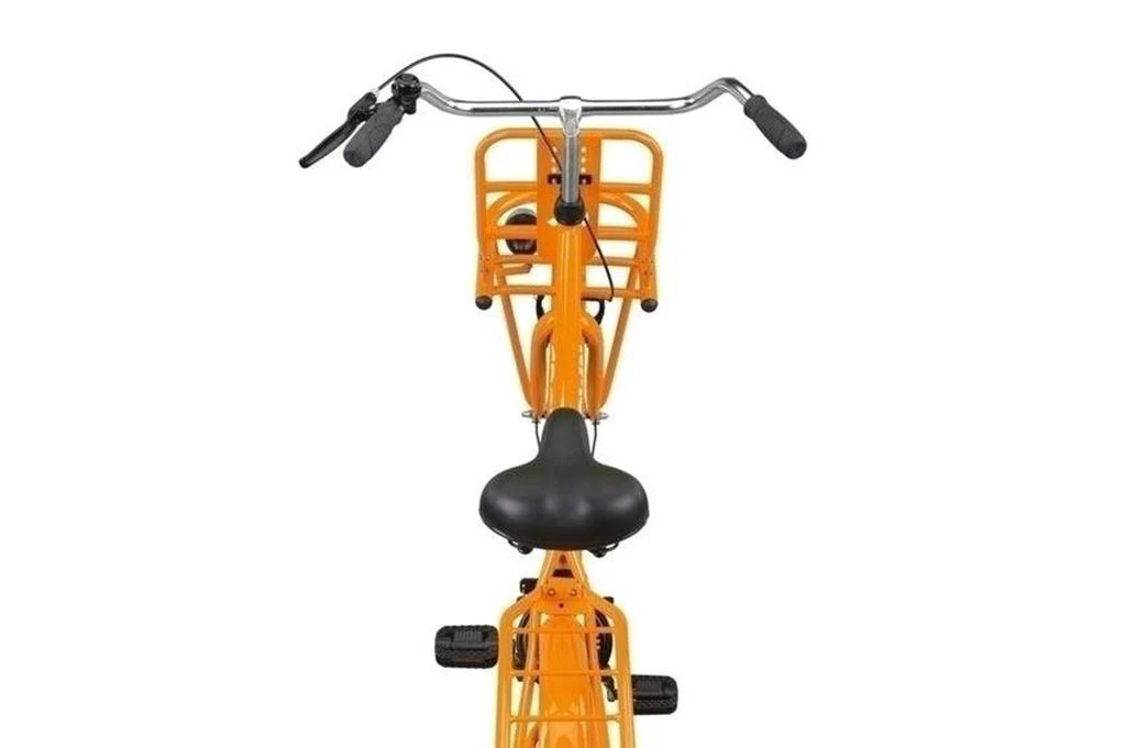 Holland Transportfiets Burned Orange - Image 4