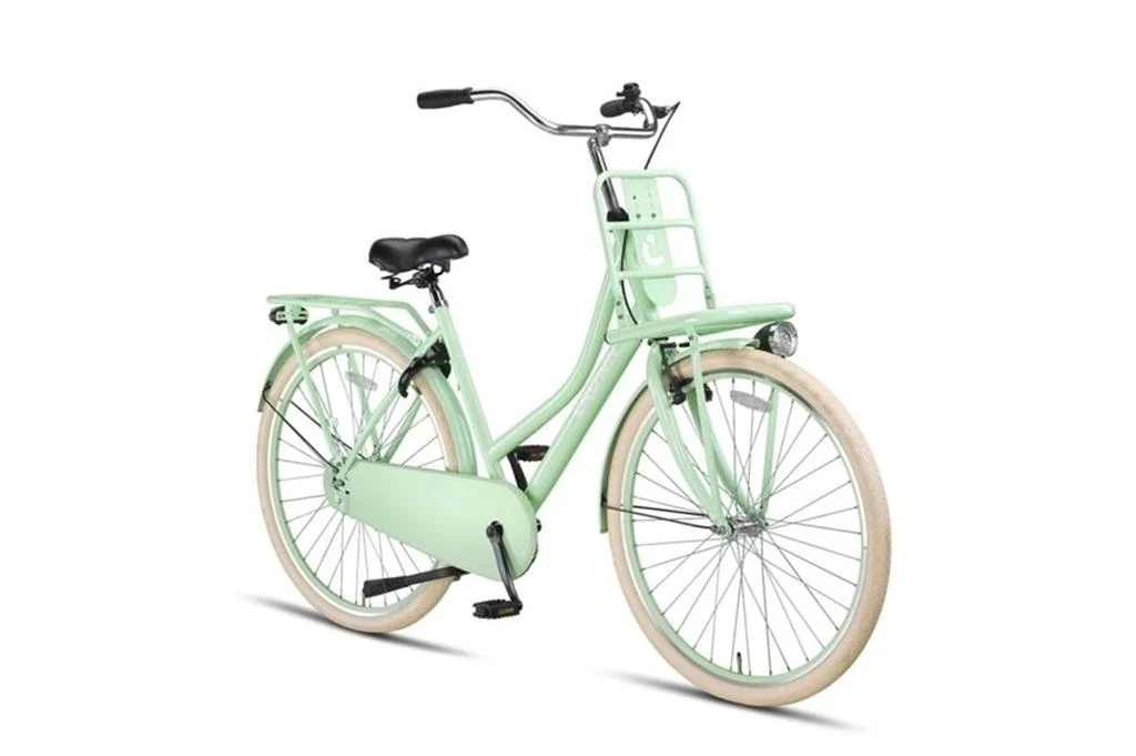 Holland Transportfiets Mint Green - Image 2