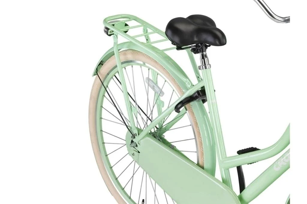 Holland Transportfiets Mint Green - Image 4