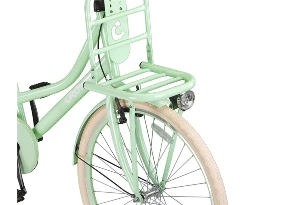 Holland Transportfiets Mint Green - Image 5