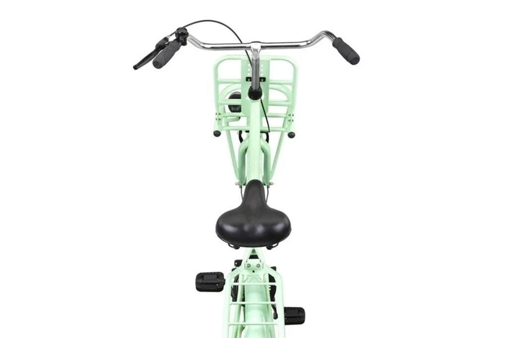Holland Transportfiets Mint Green - Image 6