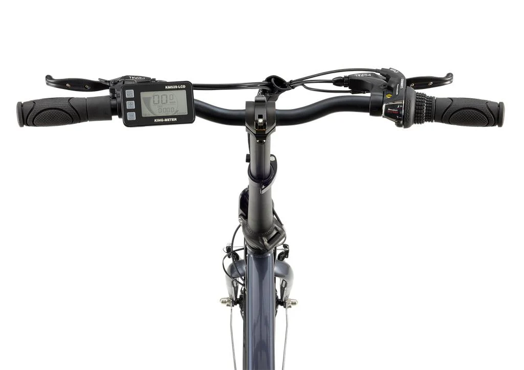 Popal E-Folt Vouwfiets Grijs - Image 3