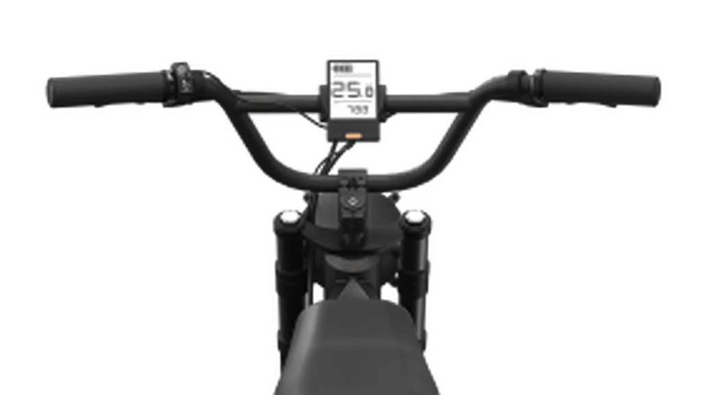 Popal GTX Fatbike E-bike - Image 3